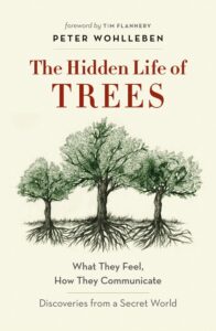 Hidden-Life-of-Trees-e1479536981824
